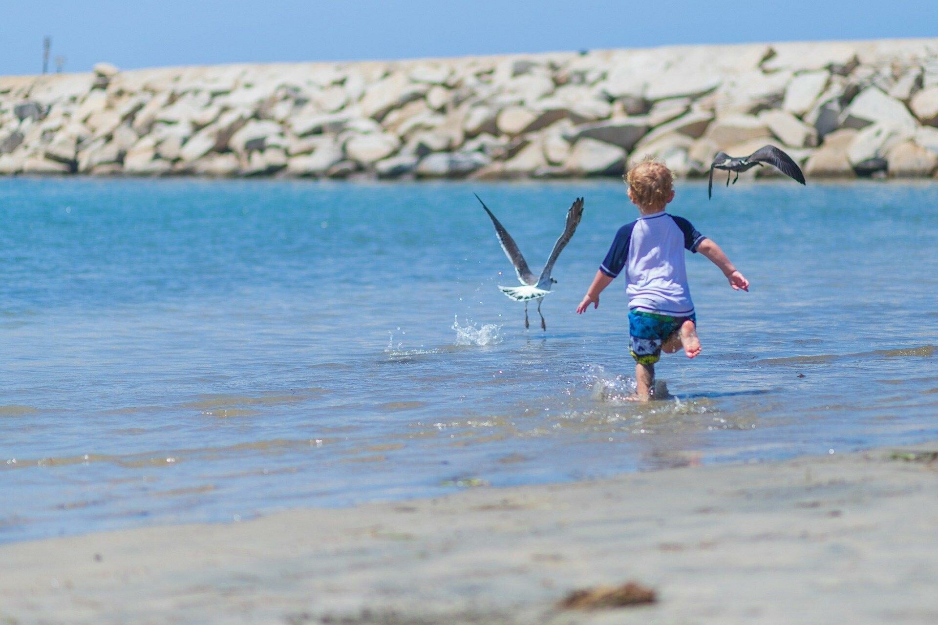 Kind jagt Möwen am Strand